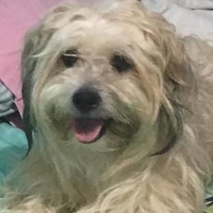 Meet your Posher, Edith